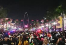 Cotuco prevé mayor afluencia en la avenida Revolución por Halloween y Día de Muertos