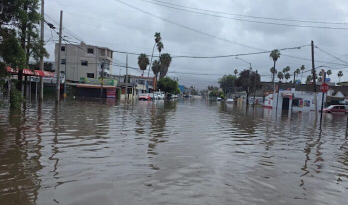 Luvias Ensenada .
