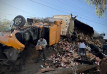 Tráiler con cerveza volcó en Tijuana y provoca rapiña.