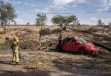 Árboles caídos, apagones e incendios dejaron los vientos de Santa Ana en Tijuana.